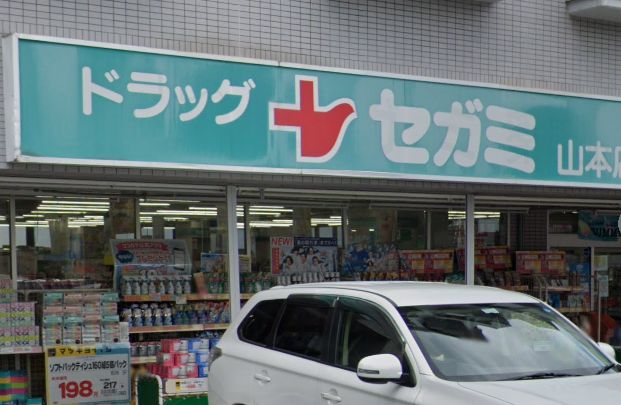 ドラックストア　ドラッグセガミ 山本店（ドラッグストア）まで213m