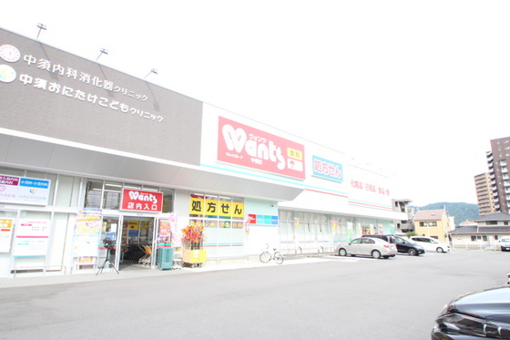ドラックストア　ウォンツ中須店（ドラッグストア）まで519m
