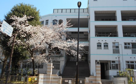 小学校　新宿区立四谷第六小学校（小学校）まで460m