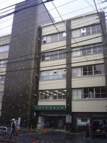 役所　小金井市公民館本館（役所）まで230m