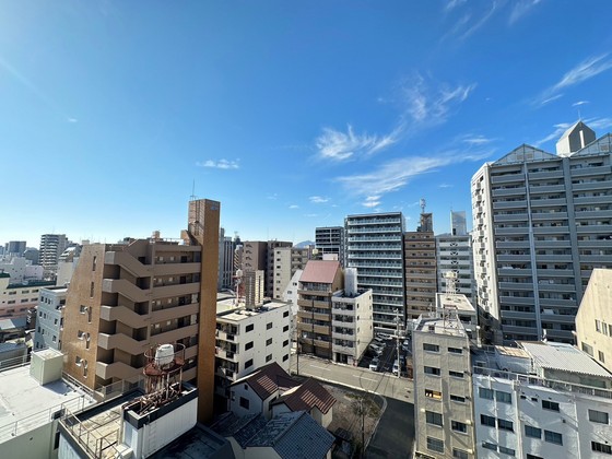 眺望　※別部屋の写真です