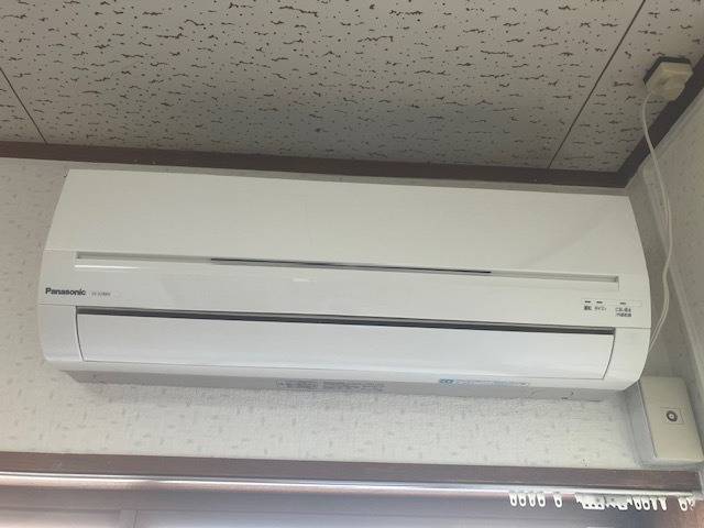 ヤングタウンのその他写真