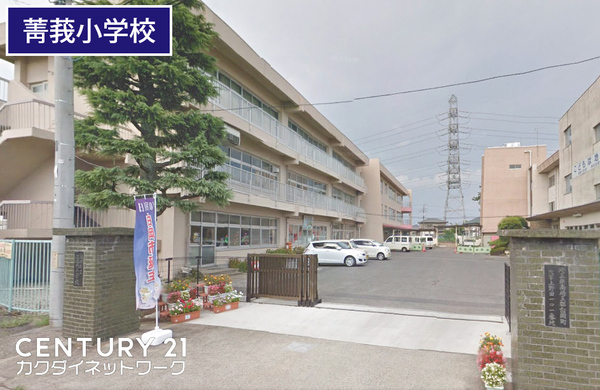 小学校　白岡市立菁莪小学校（小学校）まで572m