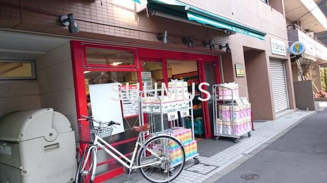 都営大江戸線 若松河田駅 徒歩4分 11階建 築18年の周辺写真