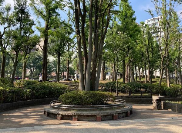 公園　教育の森公園（公園）まで394m