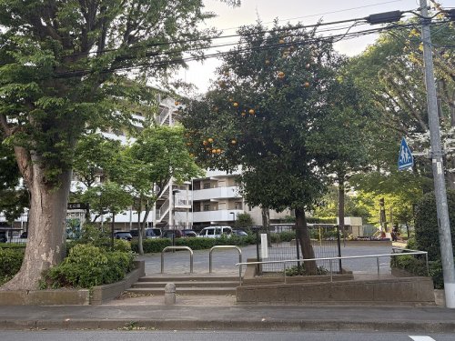 公園　富士見一北公園（公園）まで459m