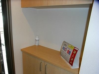 シャーメゾンヴェルデの玄関写真