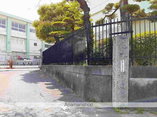 小学校　一宮市立　千秋南小学校（小学校）まで600m
