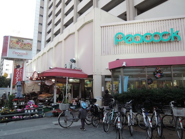 その他　ザ・ダイソーピーコックストア目白店（その他）まで539m