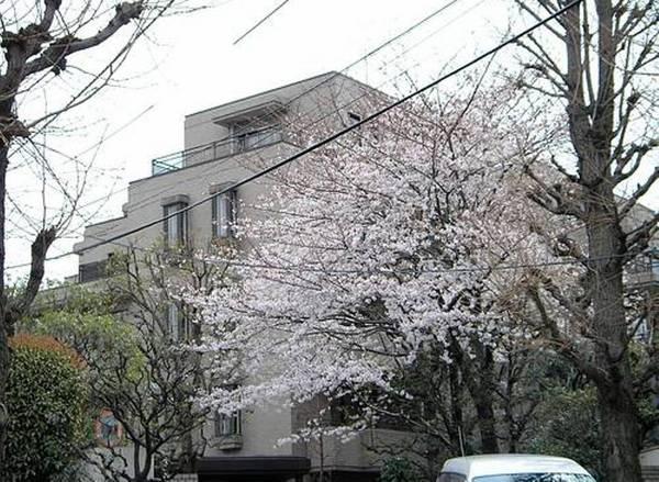 ＪＲ山手線 目黒駅 徒歩6分 築41年