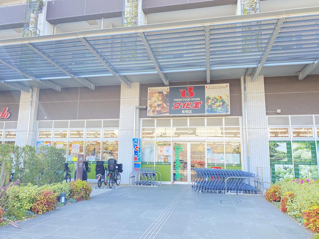 Brillia 有明 SkyTowerの周辺写真