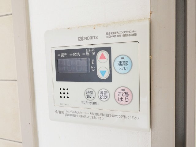 パレオーギのその他写真