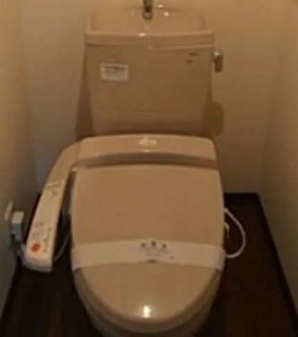 ルーブル鵜の木参番館のトイレ写真