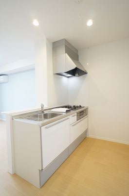 ＪＲ上越線 群馬総社駅 徒歩66分 2階建 築9年のキッチン写真