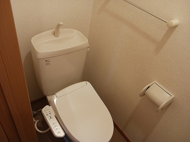 ルミエール ツカサIIのトイレ写真