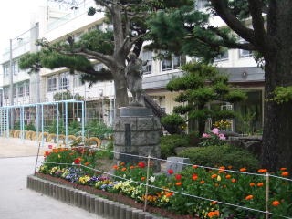小学校　広島市立舟入小学校（小学校）まで85m