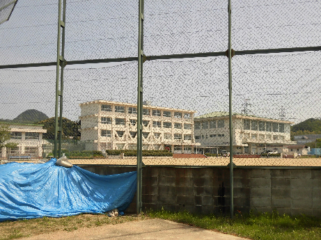 中学校　関市立下有知中学校（中学校）まで1434m