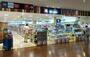 ドラックストア　ウエルシア世田谷砧店（ドラッグストア）まで305m