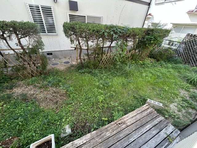庭