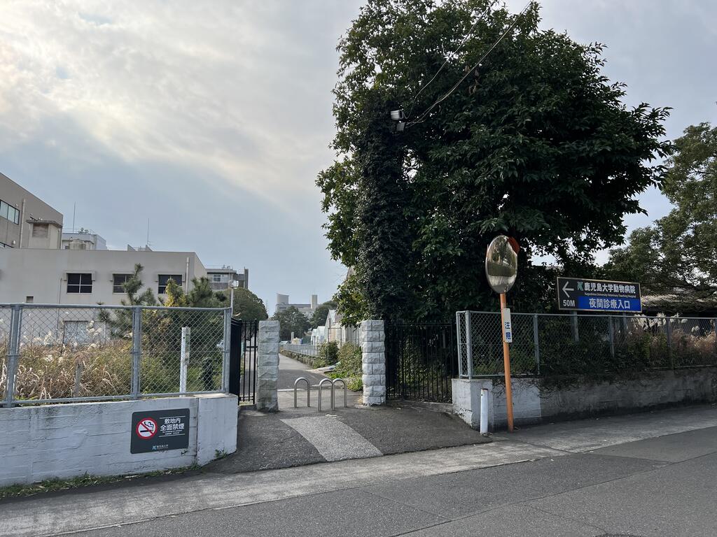 大学・短大　鹿児島大学　通用門　（徒歩1分）（大学・短大）まで43m