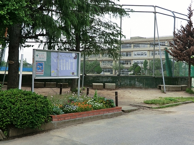 中学校　柏第四中学校（中学校）まで1095m