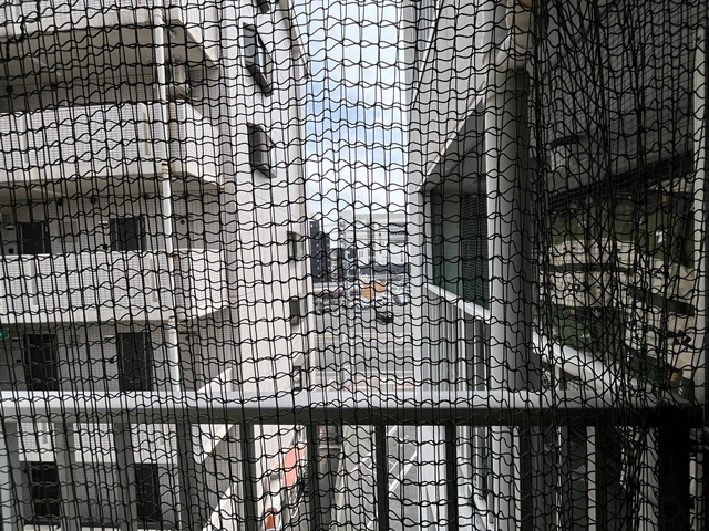 眺望　エントランス