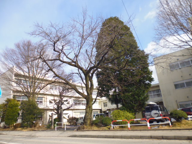 【グランテラス上郷の小学校】