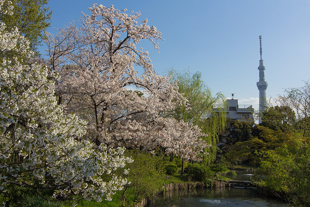 【墨田区堤通のマンションの公園】