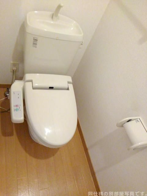 メゾン・彩Vのトイレ写真