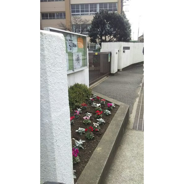 小学校　川崎市立宮崎台小学校（小学校）まで1013m