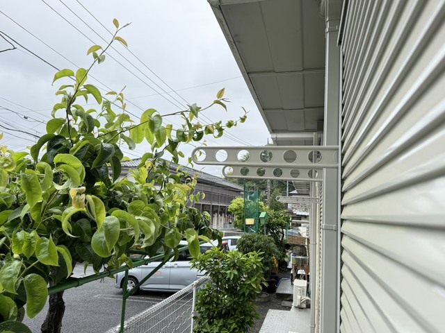 バルコニー　別部屋参考写真です
