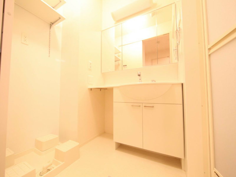 洗面設備　脱衣所　独立洗面台（シャンプードレッサー付）室内洗濯機置き場