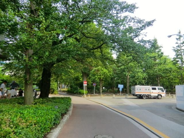 公園　荒川公園（公園）まで50m