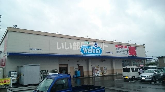 ドラックストア　ウエルシア浜松三ケ日店（ドラッグストア）まで378m