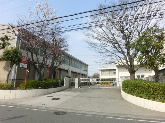 小学校　横浜市立新吉田第二小学校（小学校）まで920m