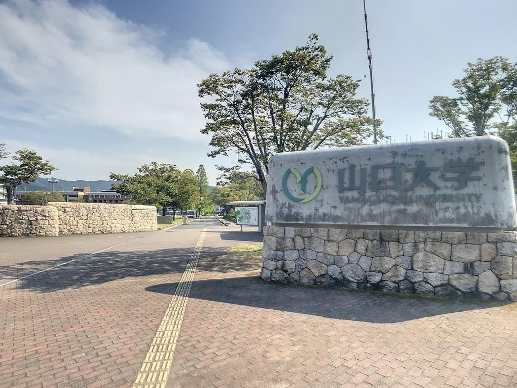 大学・短大　国立山口大学（大学・短大）まで816m