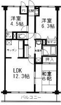 入間市大字下藤沢のマンションの間取り