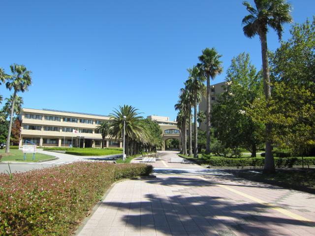 【鳴門市鳴門町高島のアパートの大学・短大】