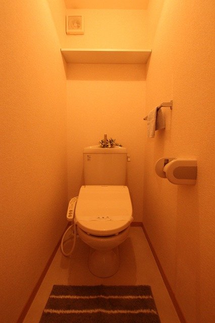 トイレ　同物件別号室の写真です。