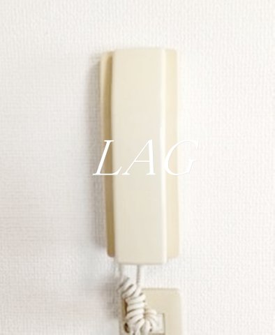 セキュリティ　インターフォンです。