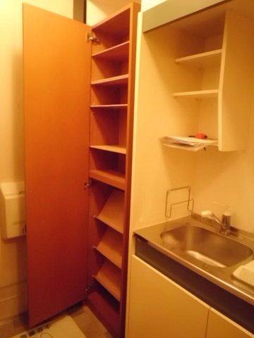 玄関　あると嬉しい大きい下駄箱