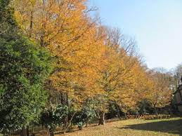 公園　松ヶ丘3号散策の森（公園）まで765m