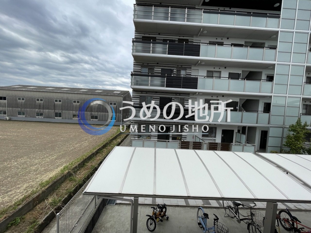 眺望　眺望