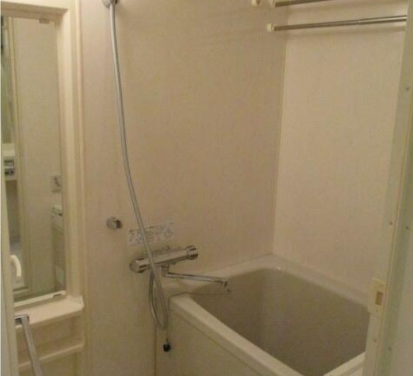バス・シャワールーム　※別部屋の画像です