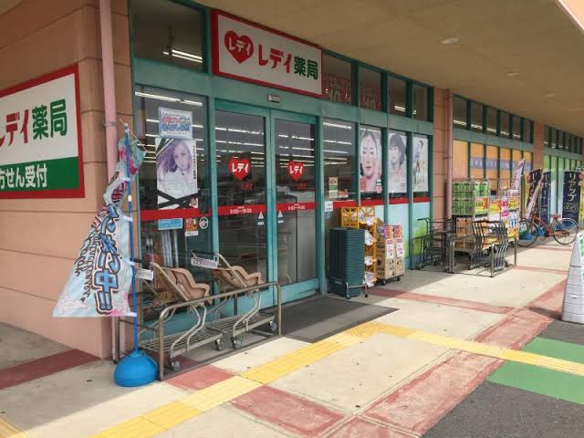 ドラックストア　くすりのレデイ 十川店（ドラッグストア）まで1308m