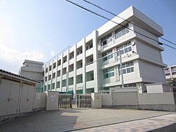 小学校　広島市立庚午小学校（小学校）まで448m
