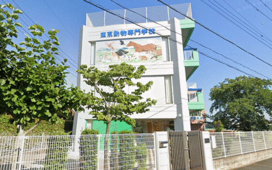 その他　東京動物専門学校（その他）まで2495m