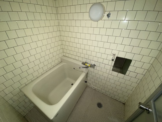 バス・シャワールーム　※別部屋の写真です