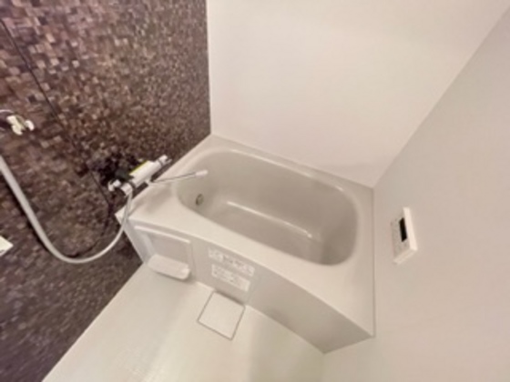 バス・シャワールーム　※別部屋の写真です