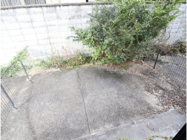 庭